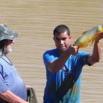 IF